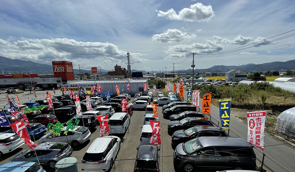 有限会社エムズ様の導入事例